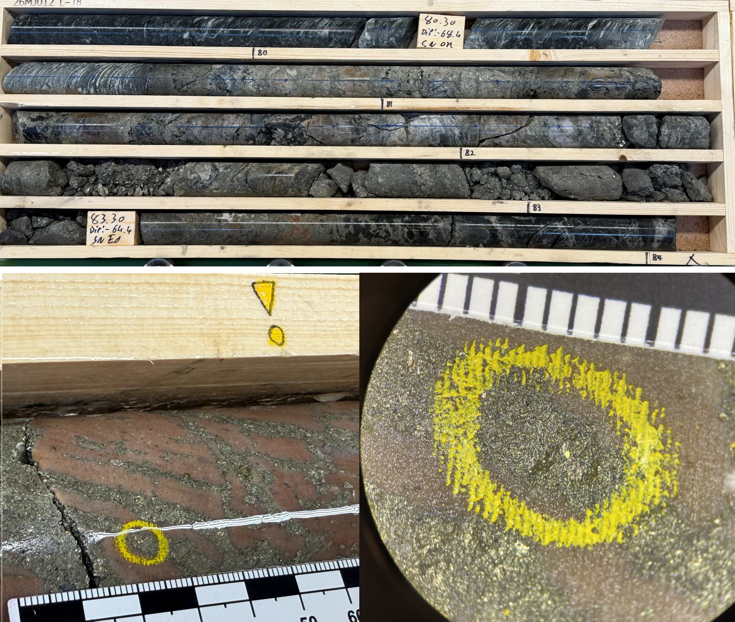Figure 3. Pyrite mineralization and visible gold in 26MJ012.